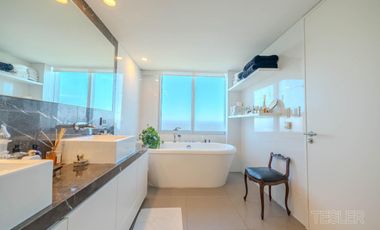 Torre Alrio Penthouse vista al rio 3 dormitorios en suite Terraza quincho parrilla jacuzzi propio