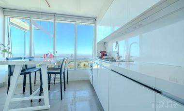 Torre Alrio Penthouse vista al rio 3 dormitorios en suite Terraza quincho parrilla jacuzzi propio