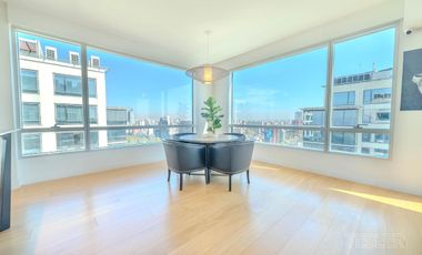 Torre Alrio Penthouse vista al rio 3 dormitorios en suite Terraza quincho parrilla jacuzzi propio