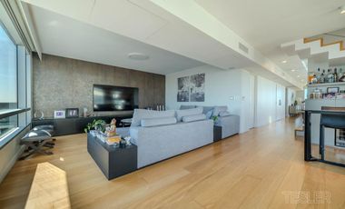 Torre Alrio Penthouse vista al rio 3 dormitorios en suite Terraza quincho parrilla jacuzzi propio