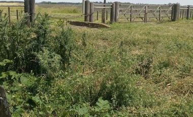 Terreno en venta - 237mts2 - Miramar