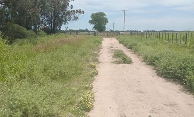 Terreno en venta - 237mts2 - Miramar