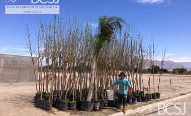 Casa - Terrazas al Oeste