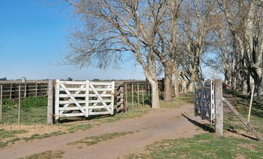 Terreno - Roque Perez