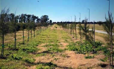 LOTES-FUNES--BARRIO ABIERTO-FUNES-VERDE - ESCRITURA - CERCADO