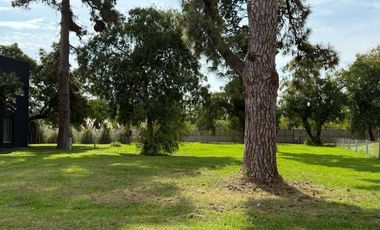 Terreno en  Greenville Polo & Resort