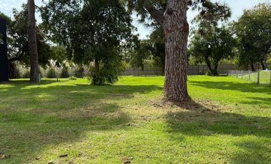 Terreno en  Greenville Polo & Resort