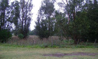 Terreno en venta - 537mts2 - Miramar