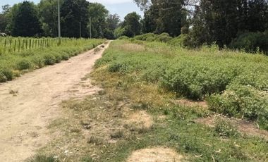 Terreno en venta - 537mts2 - Miramar