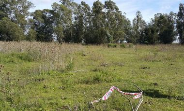 Terreno en venta - 537mts2 - Miramar