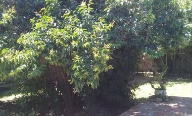 Casa en venta - 3 Dormitorios 2 Baños - 150mts2 - San Carlos de Bolivar