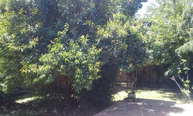 Casa en venta - 3 Dormitorios 2 Baños - 150mts2 - San Carlos de Bolivar