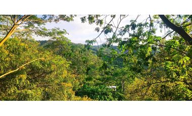 #casalote campestre de 3000 M2 en 650 mill en #lamesacundi