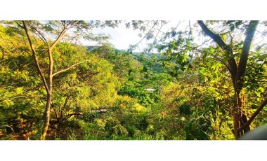 #casalote campestre de 3000 M2 en 650 mill en #lamesacundi