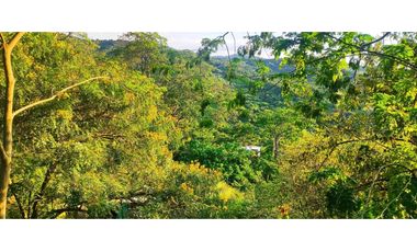 #casalote campestre de 3000 M2 en 650 mill en #lamesacundi