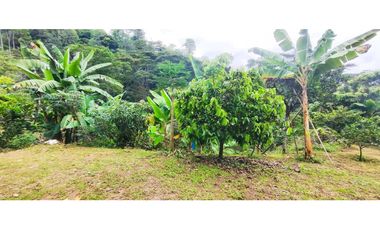Finca de 4500 M2 en 300 mill en Tena Cund