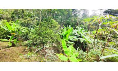 Finca de 4500 M2 en 300 mill en Tena Cund