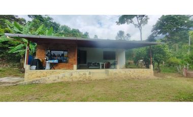 Finca de 4500 M2 en 300 mill en Tena Cund