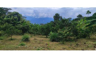 Finca de 4500 M2 en 300 mill en Tena Cund