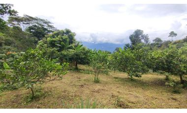 Finca de 4500 M2 en 300 mill en Tena Cund