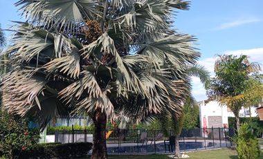 Casa en Venta en Girardot, Cundinamarca