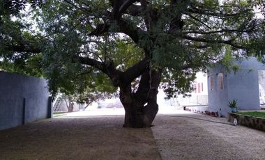 Departamento  en Chamilpa Cuernavaca - SOR-196-De