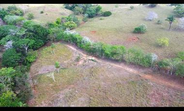 Venta de 6 hectáreas tituladas frente a Lago Bayano