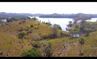Venta de 6 hectáreas tituladas frente a Lago Bayano