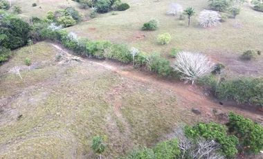 Venta de 6 hectáreas tituladas frente a Lago Bayano