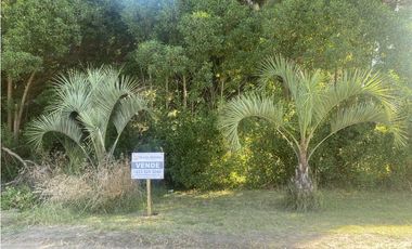 Lote en venta en Mar de Cobo