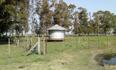 FINA PATAGONIA. Campo en venta de 2350000m2 ubicado en Mechongué