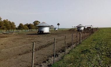 FINA PATAGONIA. Campo en venta de 2350000m2 ubicado en Mechongué