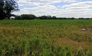 FINA PATAGONIA. Campo en venta de 2350000m2 ubicado en Mechongué