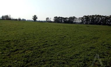 FINA PATAGONIA. Campo en venta de 2350000m2 ubicado en Mechongué
