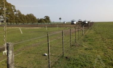 FINA PATAGONIA. Campo en venta de 2350000m2 ubicado en Mechongué