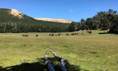 Parcela en venta  en LAGO VERDE
