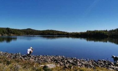 Parcela en venta  en LAGO VERDE