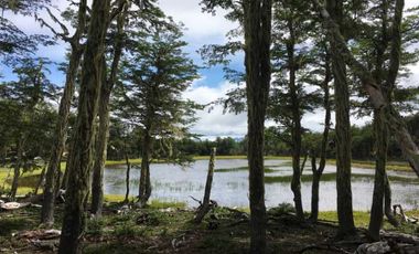 Parcela en venta  en LAGO VERDE