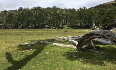 Parcela en venta  en LAGO VERDE