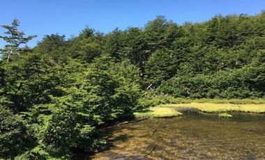 Parcela en venta  en LAGO VERDE