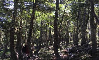 Parcela en venta  en LAGO VERDE
