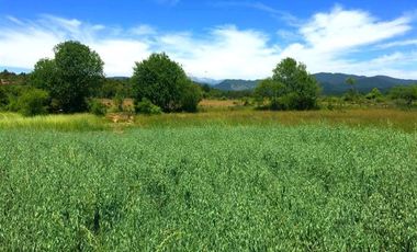 Parcela en Venta en La Amalia