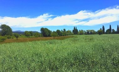 Parcela en Venta en La Amalia