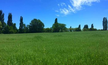 Parcela en Venta en La Amalia