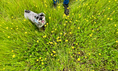 Parcela en Venta en h20