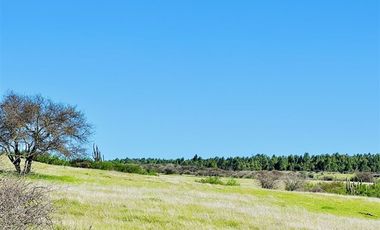 Parcela en Venta en h20