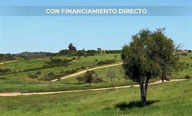 Parcela en Venta en h20