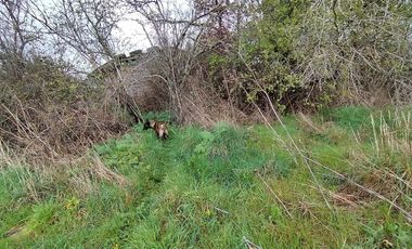 Parcela en Venta en Hijuela 7 Lote 5