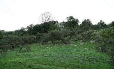 Parcela en Venta en San Fernando