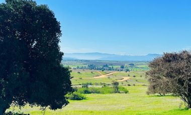 Parcela en Venta en h20